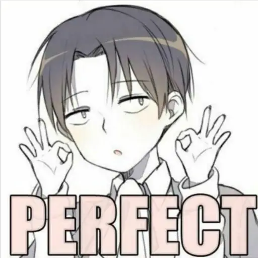 levi_perfect Discord sticker