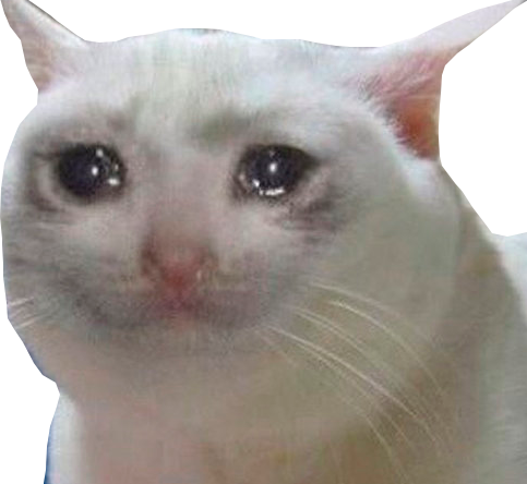 Gato triste Discord sticker