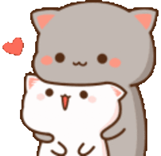 cat hug  Discord sticker