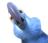 BluLooking Discord sticker