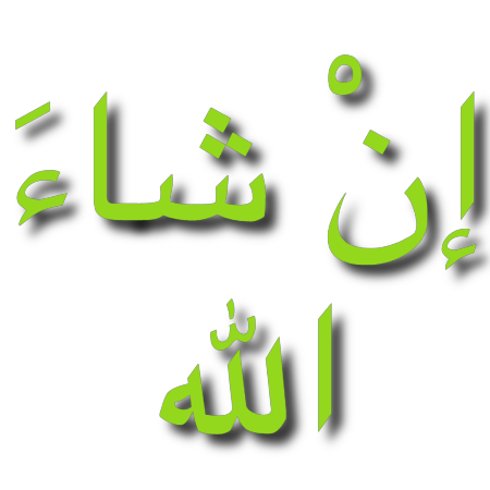 InshaAllah Discord sticker