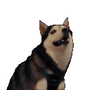 Happiness Noise Discord sticker