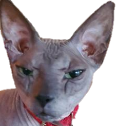 Bongus Mad Discord sticker