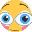 Flushed Look Discord sticker