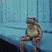 frogsit Discord sticker
