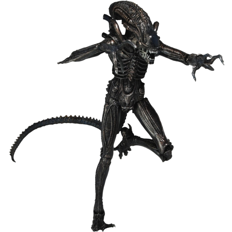 xeno Discord sticker