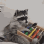 Raccoon Discord sticker