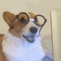 dog work Discord sticker