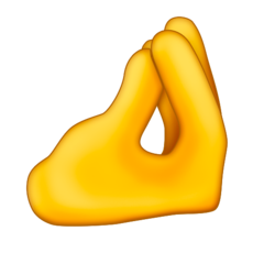 TZG_PinchedFingers Discord sticker