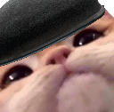 beretcatte