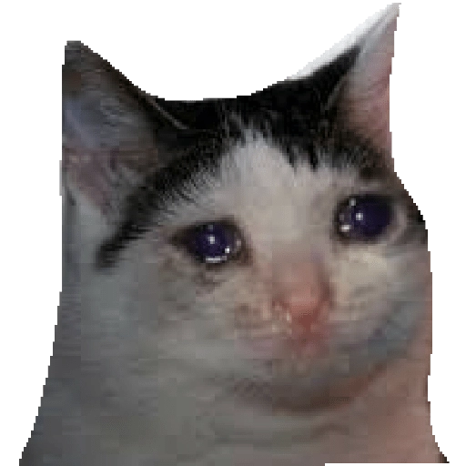 Sad Cat Discord sticker