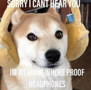 I cannot hear you  Discord sticker