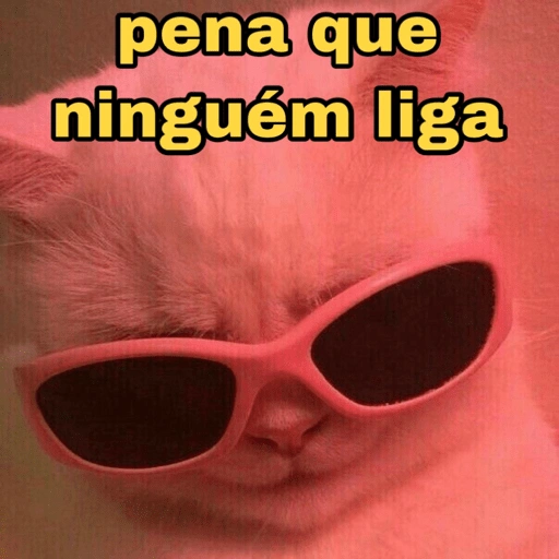 PenaQueNaoLigo Discord sticker