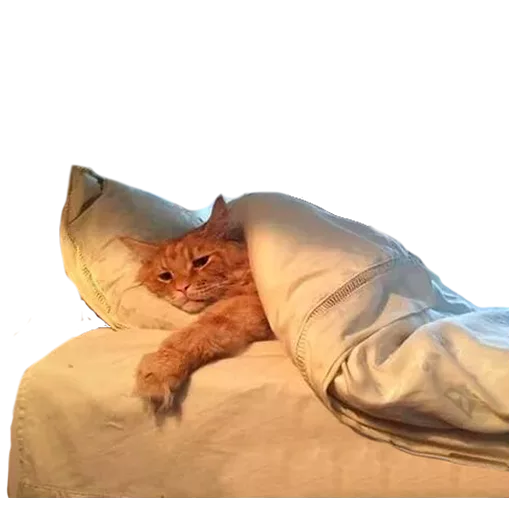 Cansadinho Discord sticker