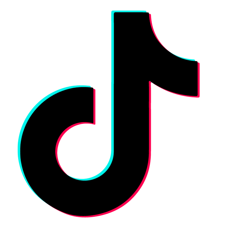 TikTok Icon /tiktokemotes Discord sticker