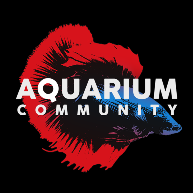 Aquarium Community  Discord sticker