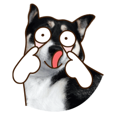Jak to nazwać? Discord sticker