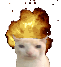 CatBoom Discord sticker