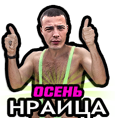Осень нраица! Discord sticker