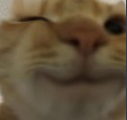 catwink Discord sticker