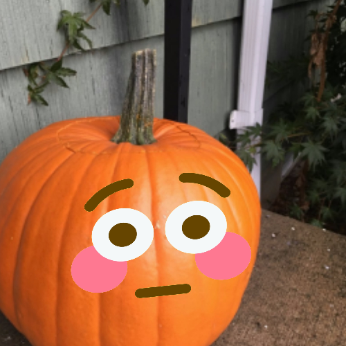 Maxim Flushed Discord sticker