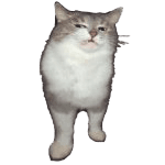 Cat Nah Discord sticker