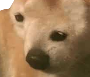 Oh Dorg Discord sticker