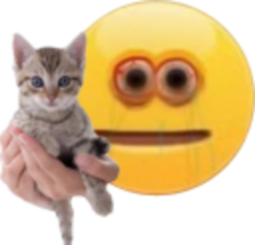 take the cat Discord sticker