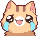 cat_happycry Discord sticker