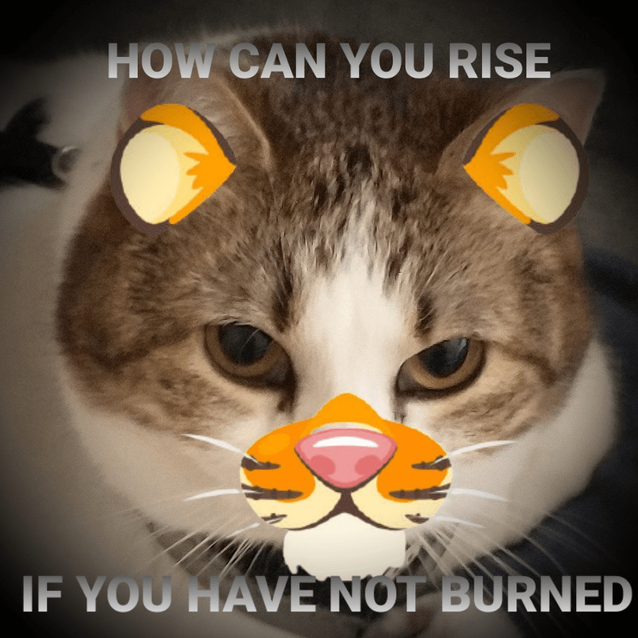Motivation Tiger Discord sticker