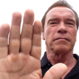 P_ArnoldHalt Discord sticker