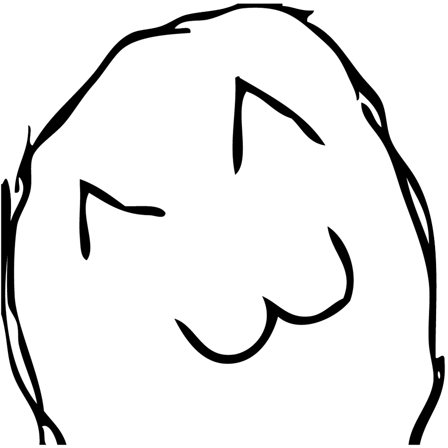 Cat Discord sticker