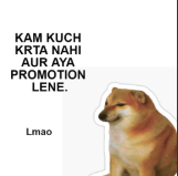 Promotion Discord sticker