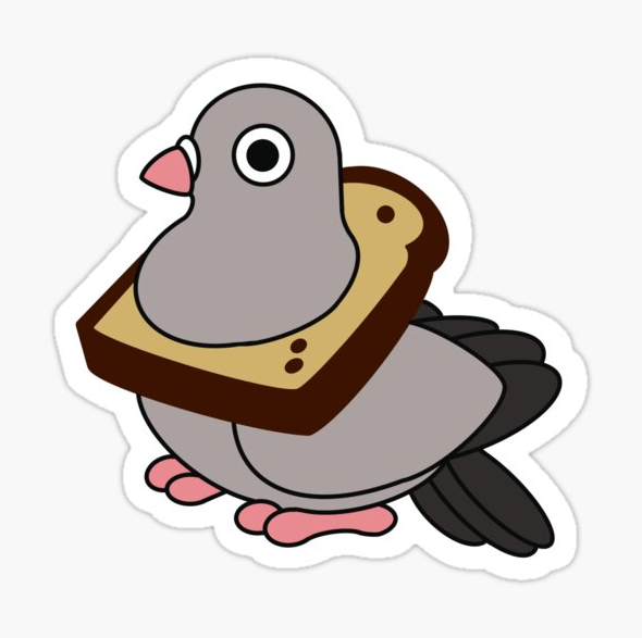 Pigeoor Discord sticker