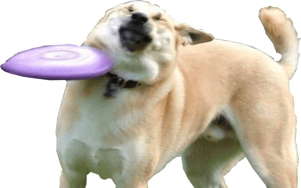 aggh!!! Discord sticker