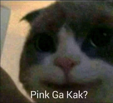 pink ga? Discord sticker