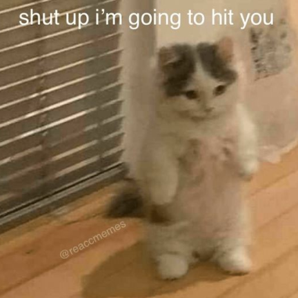 shutup Discord sticker