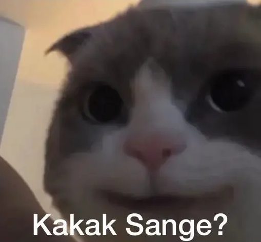kucing Discord sticker