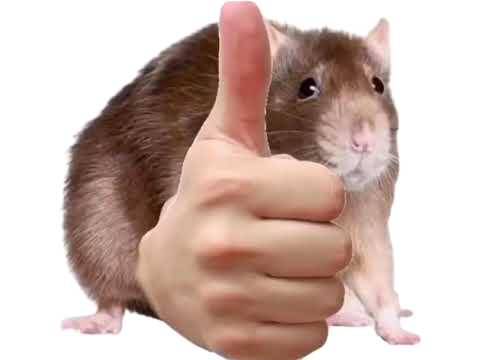 joss gandoss Discord sticker