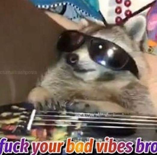 Fuck your bad vibes bro