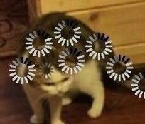 whot Discord sticker