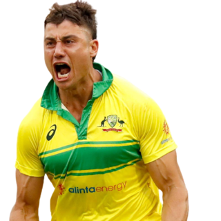 Stoinis Hulk Discord sticker