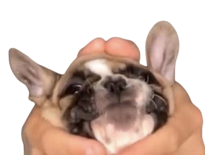 Scooby "okay" Discord sticker