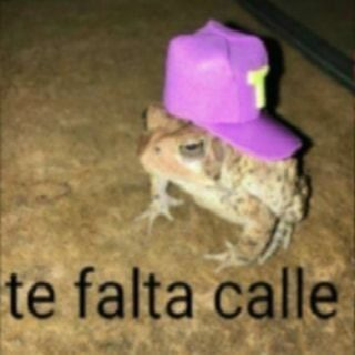 te falta calle Discord sticker
