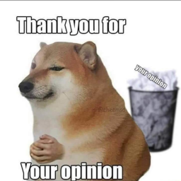 Your Opinion Discord sticker