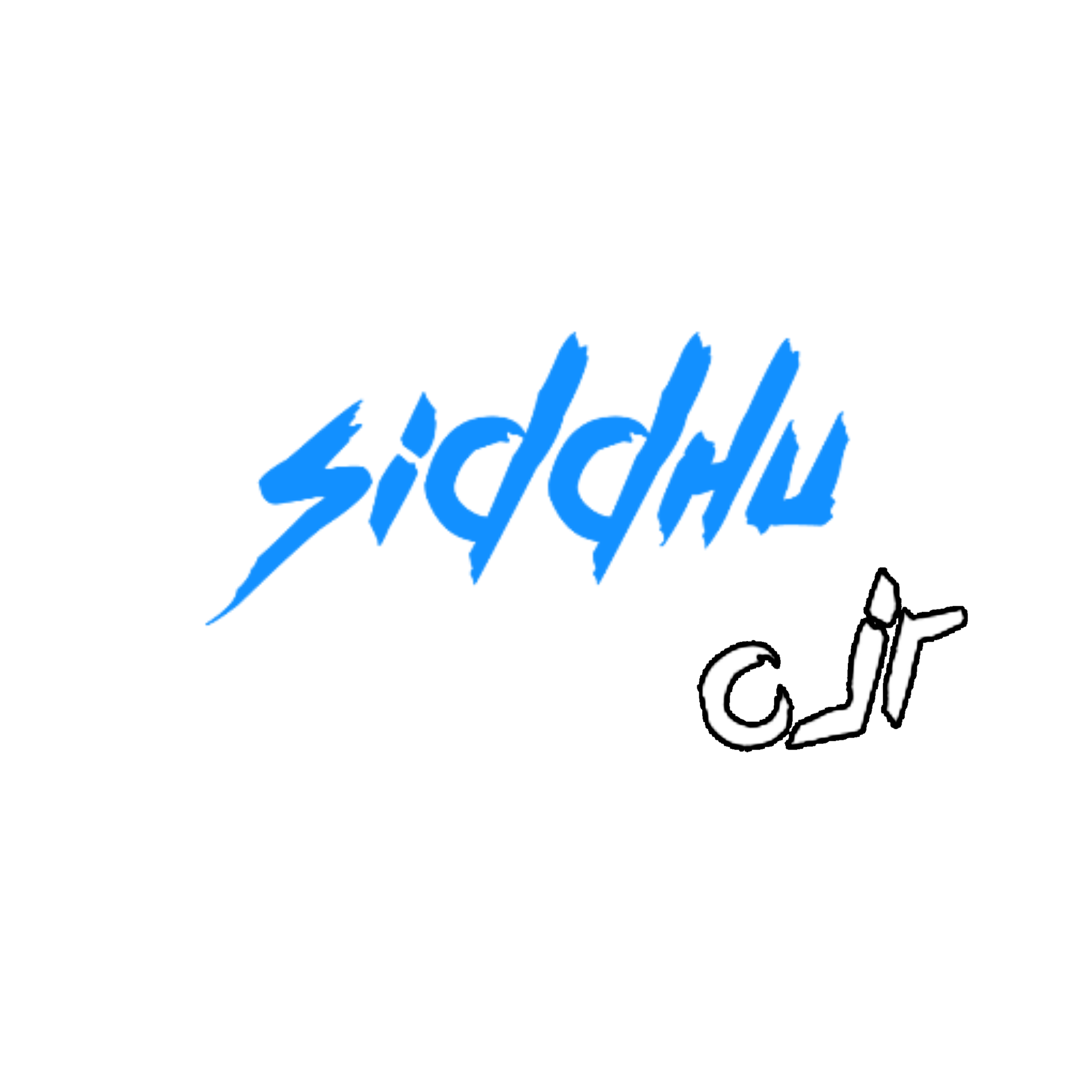 Sidhhu Discord sticker