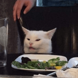 tablecat Discord sticker