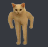 CatBuff  Discord sticker