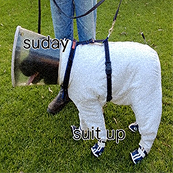 Suday Discord sticker