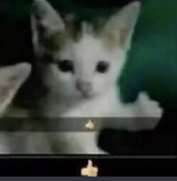 Cat Approve Discord sticker